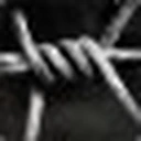 SCUM icon