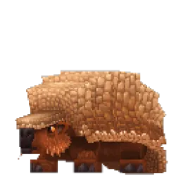 a game icon for Armadillo